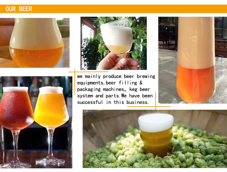 500 KG Small Stainless Steel Home Beer Brewing Equipment with Electric Heating Method