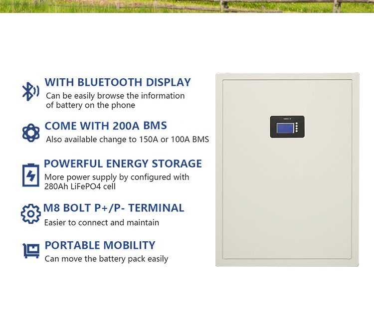 Solar Wall Mounted LiFePo4 Battery 51.2V 100ah 5Kwh 48v Power Wall Residential Energy Storage