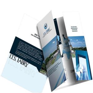 Folding Business Instruction Manual Trifold Custom Brochure Booklet Printing