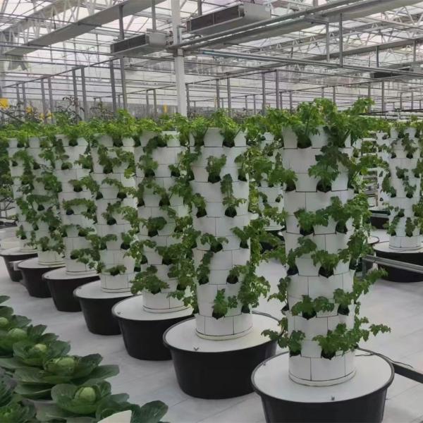 hydroponic greenhouse outdoor indoor garden plant vertical plastic tower growing