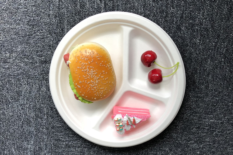 Biodegradable compostable sugarcane plant fiber dinnerware