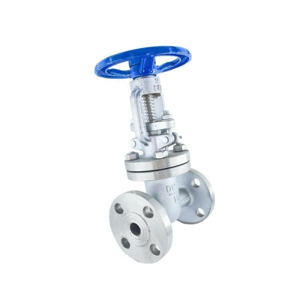 Stainless Steel CF8 Standard Control Valve Gate Valve Flange End for Water and