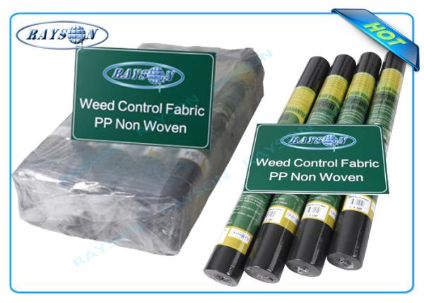 Biodegradable Non Woven Landscape Fabric Roll Packing for Garden Plant