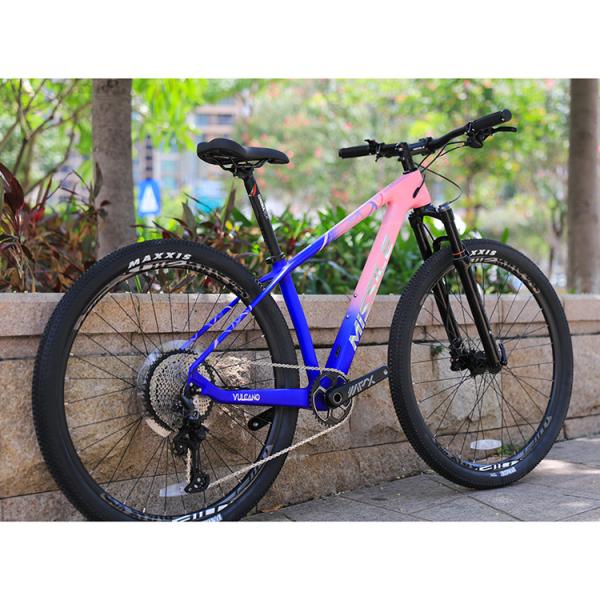 12 Speed Downhill Mountain Bike With Sunshine 11-50T Cassette And Aluminum Alloy