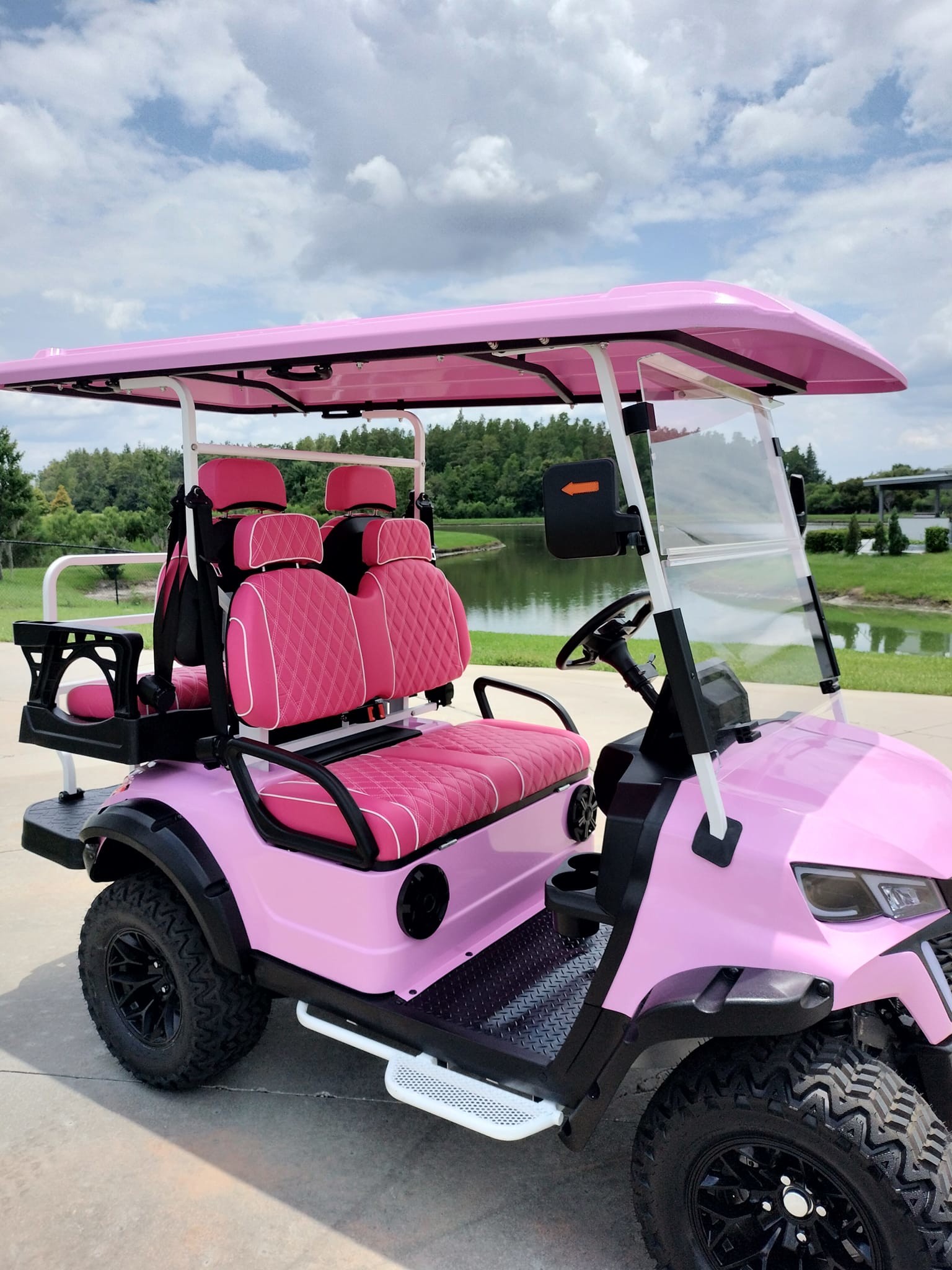 Custom Pink Off Road Lithium 72V Luxury Utility Hunting Golf Cart 4 Seater