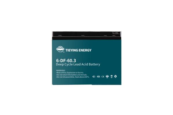 CE SDS Rechargeable 6-DF-60 Lead Acid Batteries For Sale 60Ah Electric Tricycle