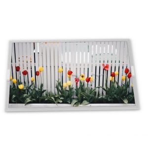 ODM 15.6-Inch Hot Sale New Vehicles RGB Interface LCD Display Module TX40D202VM0