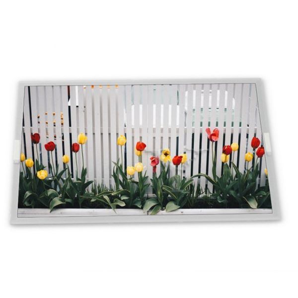 ODM 15.6-Inch Hot Sale New Vehicles RGB Interface LCD Display Module TX40D202VM0