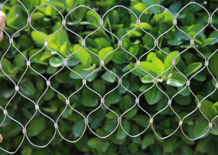 Outdoor aisi304L SS Wire Rope Mesh Steel Mesh For Climbing Plants 2.0m High