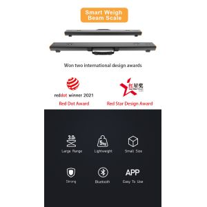 Take Your Material Handling to the Next Level with AIDA Pallet Beam Scale