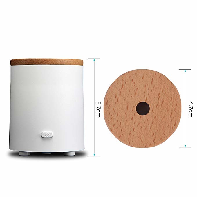 Mini Waterless Bamboo Fragrance Diffuser For Car