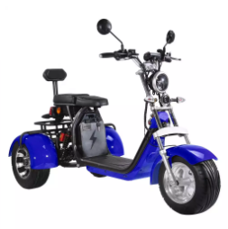 All Terrain 3 Wheel Electric Scooter 2 Seater 3000W EEC COC