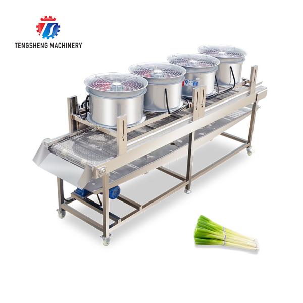 350KG Stainless steel fruit and vegetable processing air drying machine group