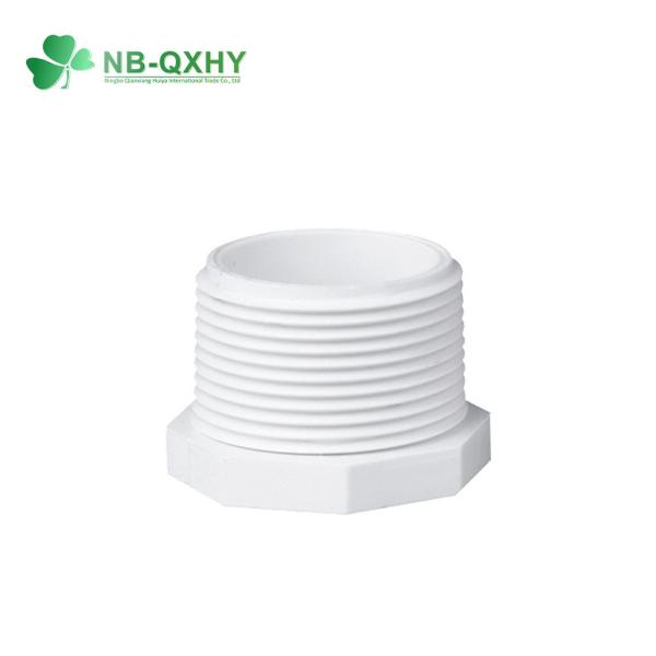 Plastic PVC UPVC Sch40 Sch80 Pipe Fittings End Thread Male Female Plug