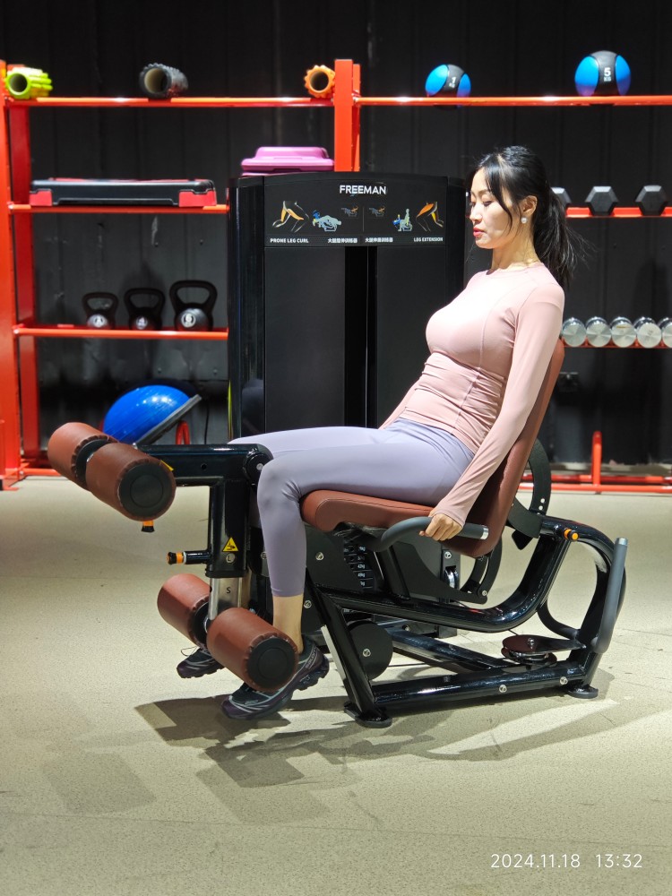 Leg Extension Leg Curl Indoor Commercial Pin Loaded Gym Equipment