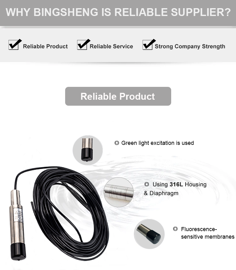 Online Digital Water Dissolved Oxygen Sensor with Modbus Segwass Probe 0-20mg/L Range