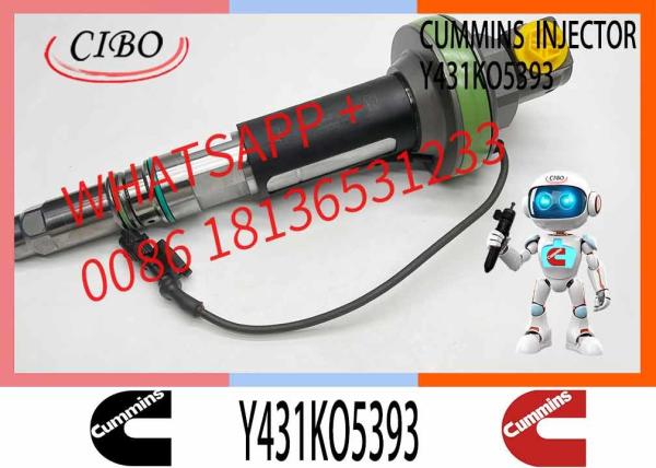 Fuel Injector Assembly 2867147 2882077 4955524 Y431KO5393 2882078For Qsk19