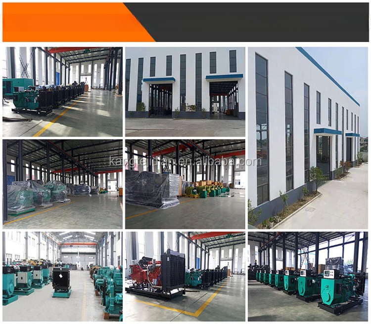 16kw 20kw 30kw Electric Genset for Biogas and Natural Gas Powered by Ricardo Engine