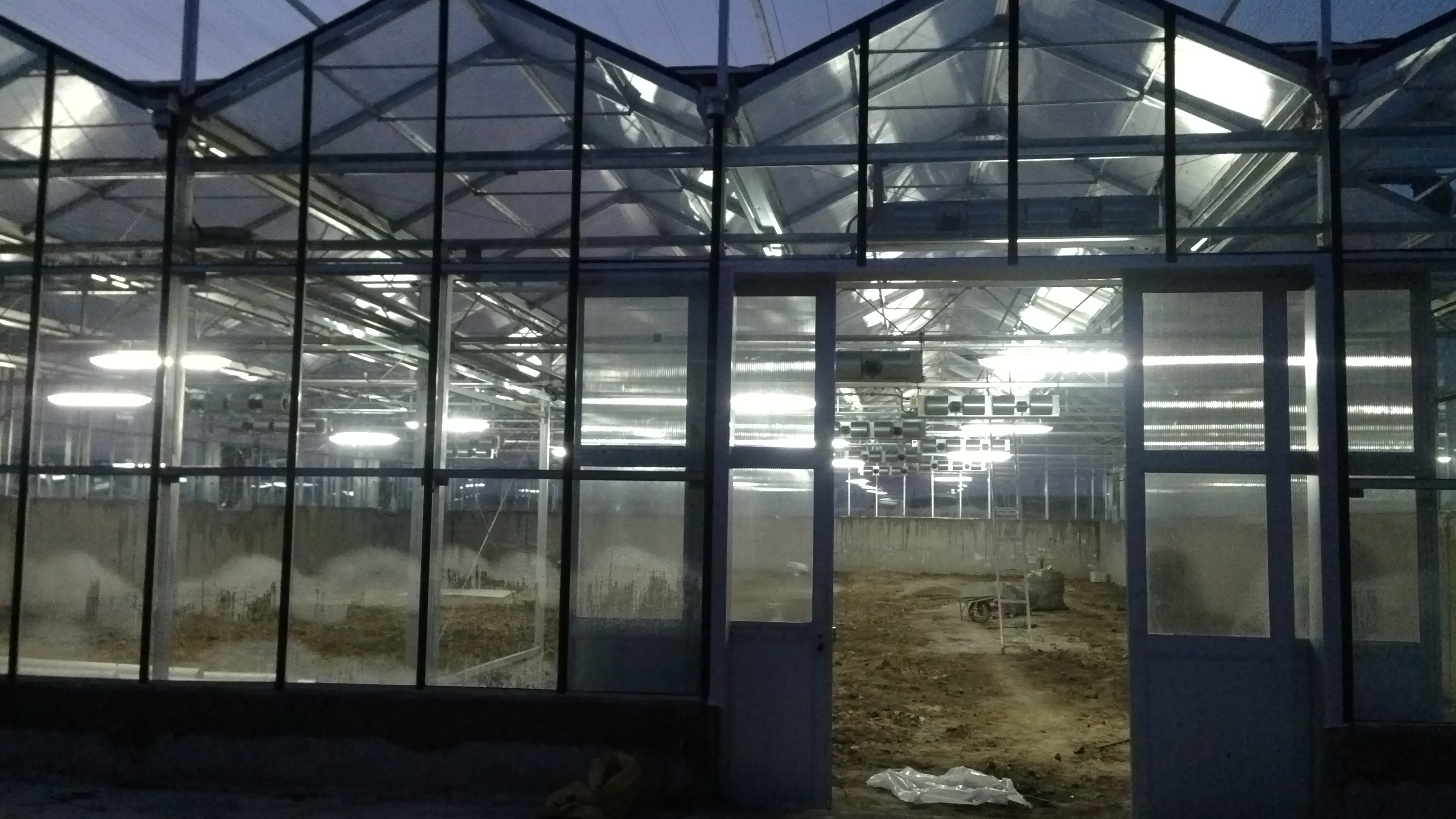 High Strength Agricultural Poly Tunnel Green House/Tomato Greenhouse