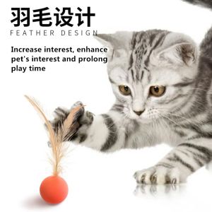  Moves Laser Pointer Cat Chew Toy Elastic Ball Interaction Manufactures