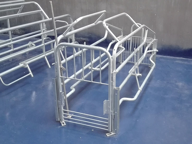 Steel Farrowing crate with galvanized steel materials customized size