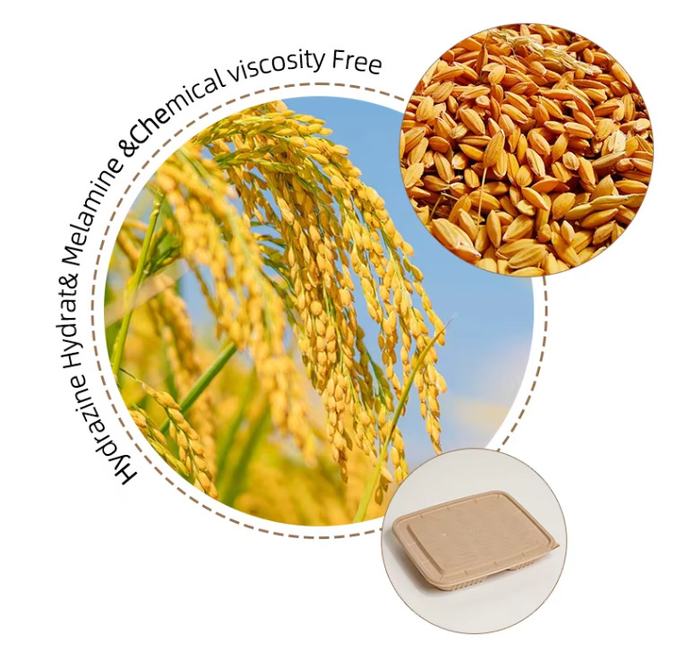 Eco-Friendly Disposable Rice Husk Fiber Clamshell Lunch Box Unbleached Biodegradable Food Container