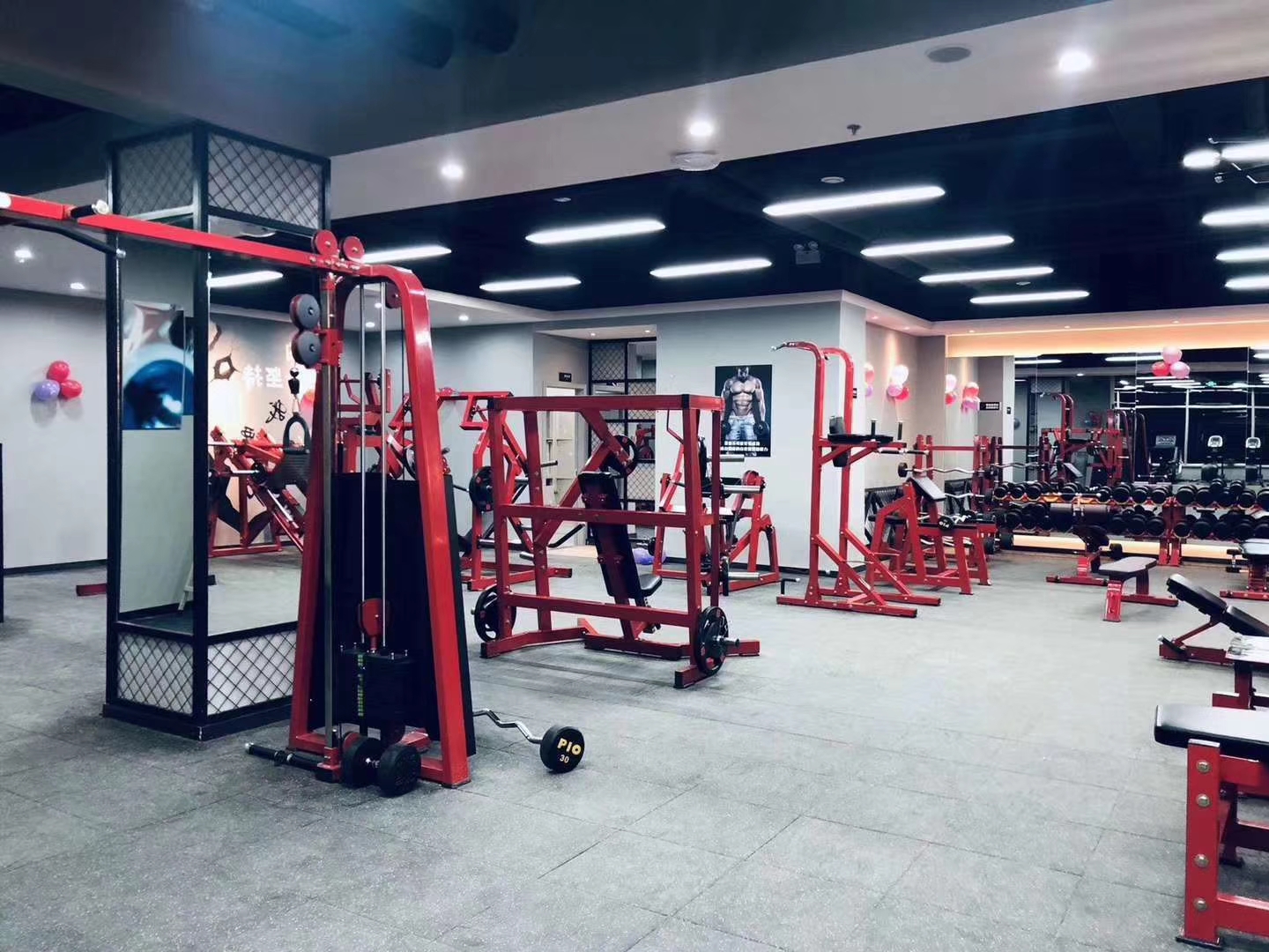 Commercial Gym Steel Pin-Loaded Chest and Pec Fly Machine High-End Pin Load Selection Equipment