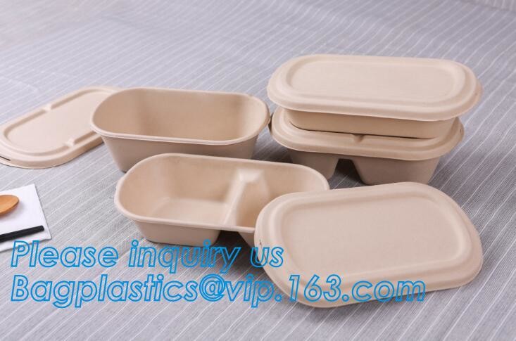 Meal Prep Containers Free Sample Bento Lunch Box Biodegradable Food Container Plastic Wheat Straw Lunch Box bagplastics