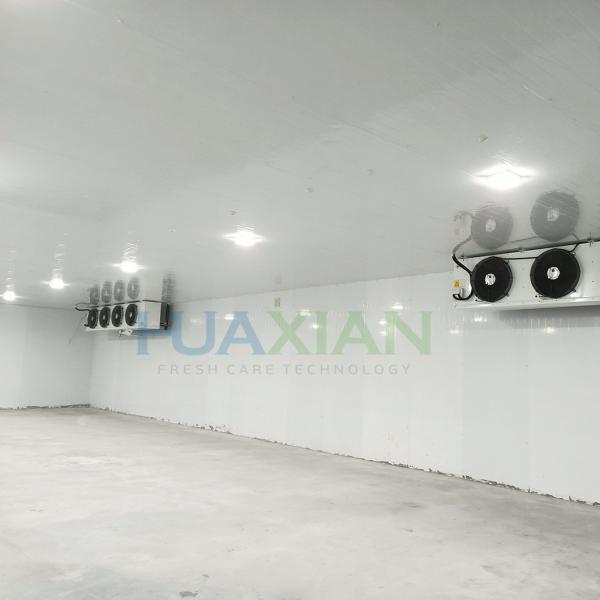 China Sale Industrial Refrigeration Equipment Modular Container Blast Freezer