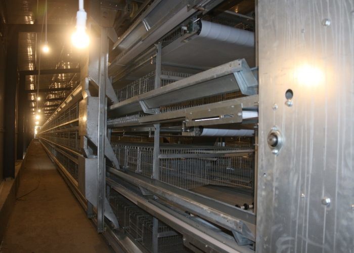 H Type Chicken Battery Cages Egg Laying Chicken Cages ISO9001 Approved