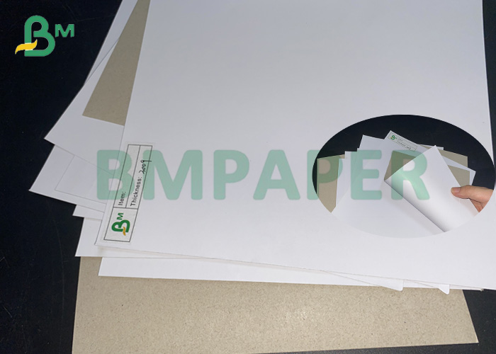 coated paper duplex board with grey back
