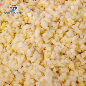 1000KG/H Large fruit and vegetable dicing machine Aloe dicing machine potato