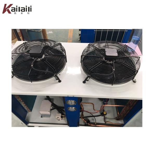 Air Cooled Condensing Unit for Fruit / Meat / Fish Cold Storage Room with