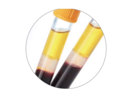 Medical disposable Blood collection Tube for Pro-coagulation tube supplier