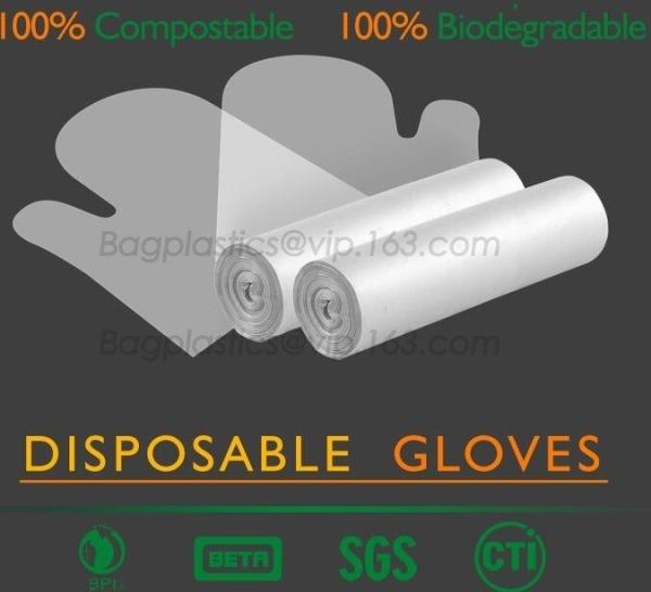 Medical Biodegradable Gloves, Corn Starch Gloves, Compostable Gloves, Disposable