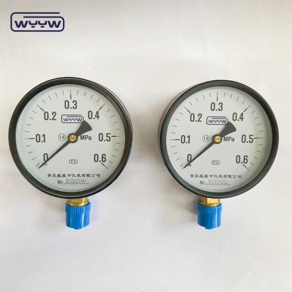 100mm Black Steel Bourdon Tube Type Bottom Connection MPa Common Rail Pressure