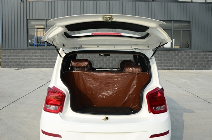 Popular Fully Electric Cars With 4 Leather Seats White Color F/R Brake Style