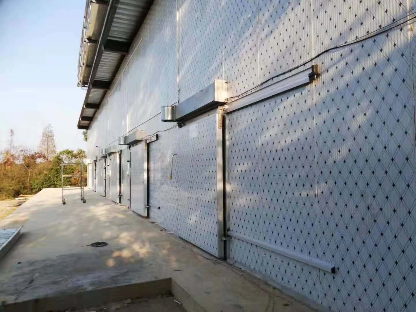 Shop Reach In Seafood Walk In Freezer Cold Room With Custom Design