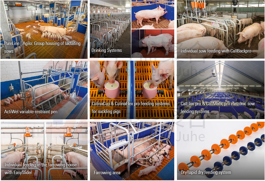 High Tolerance Pig Farrowing Crates for Customized Agricultural Livestock Equipment