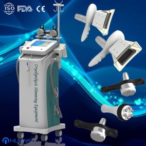 Vacuum Cryolipolysis Slimming Machine / Fat Freeze with OEM & ODM Service