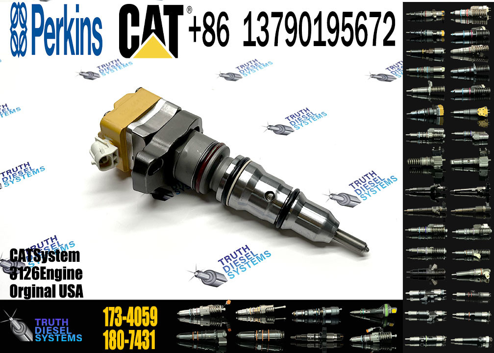 fuel injector 222-5967 173-4059 196-1401 173-9267 173-9379 4CR0197 198-4752 174-7526 for 3126
