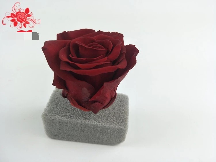 Japanese preserved red rose flowers for wedding flower stands Natural Fresh flower rose