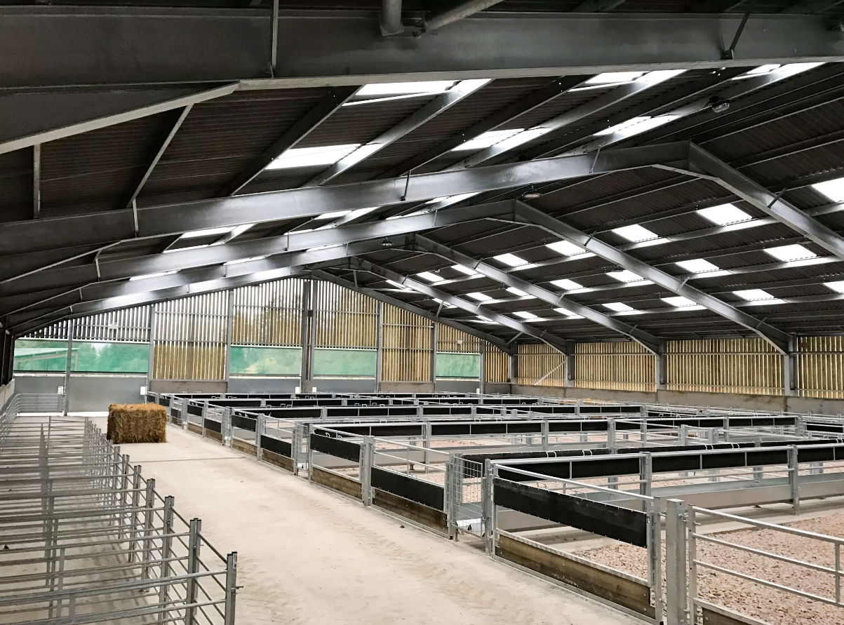 Q235/Q345 Horse Barn Style Metal Buildings Prefab Metal Horse Barn OEM ODM