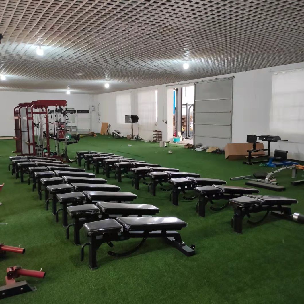 Professional Commercial Strength Machine Sports Training Body Building Life Fitness PRO2 Se Leg Extension Press Prone Seated Leg Curl Fitness Gym Equipment