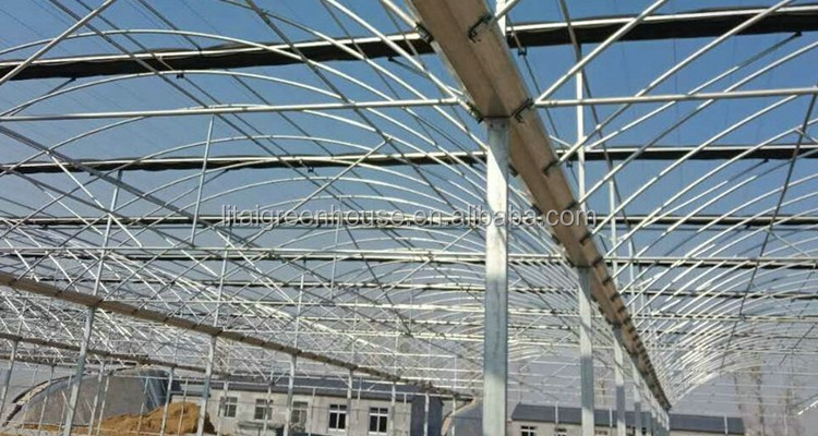 Transparent Agricultural Greenhouse for Mushroom Farming Length 30-100m or Customized