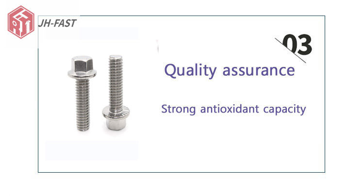 Stainless Steel Hex Flange Bolt M8 M10 M12 Manufactured by ISO9001 2015 Certified