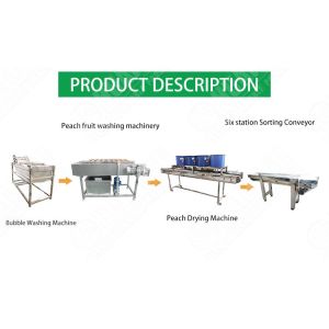 Fruit Peach Sorting Washing Machine Orange Cleaning Drying Machine Fruit
