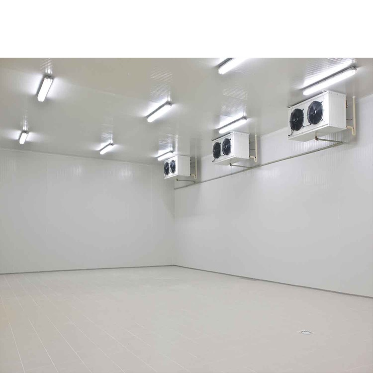 The best quality large-capacity cold storage in the factory