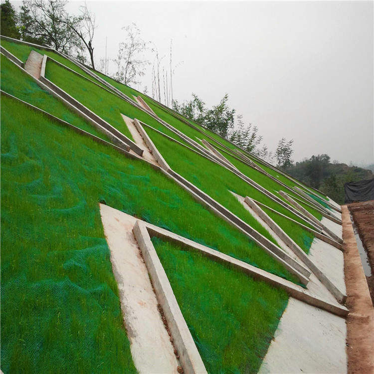 Grass Protection Turf Reinforcement Mesh with HDPE PE Material Length 25m-50m/roll