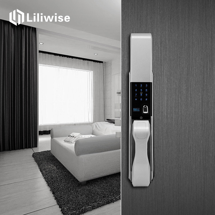 Stainless Automatic Door Lock Biometric Recognition Semiconductor OLED Display